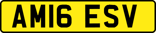 AM16ESV