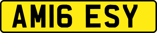 AM16ESY