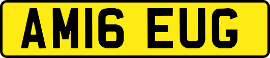 AM16EUG