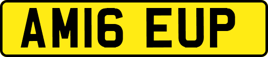 AM16EUP
