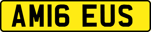 AM16EUS