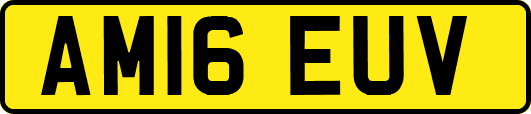 AM16EUV