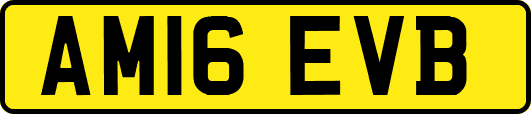 AM16EVB