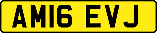 AM16EVJ