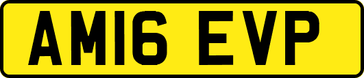 AM16EVP