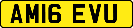 AM16EVU