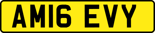AM16EVY