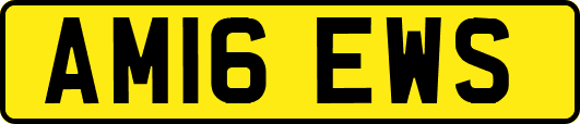 AM16EWS