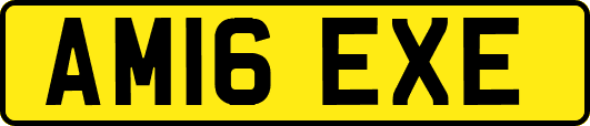 AM16EXE