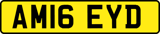 AM16EYD