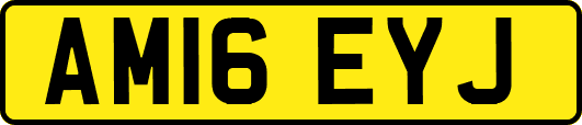 AM16EYJ