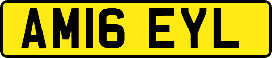 AM16EYL