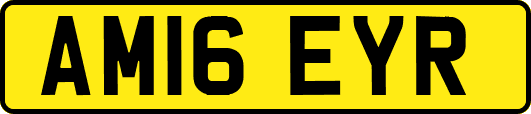 AM16EYR