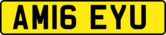 AM16EYU