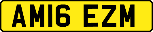 AM16EZM