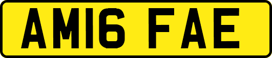 AM16FAE