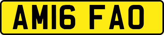 AM16FAO