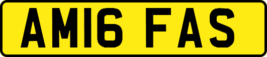 AM16FAS