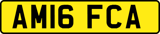 AM16FCA