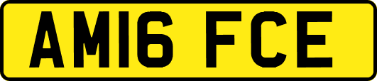 AM16FCE