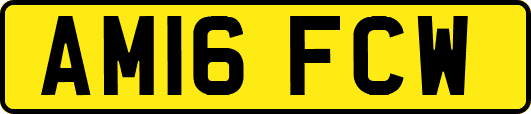 AM16FCW