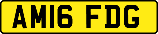 AM16FDG