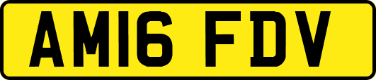 AM16FDV