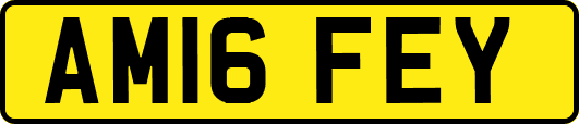 AM16FEY