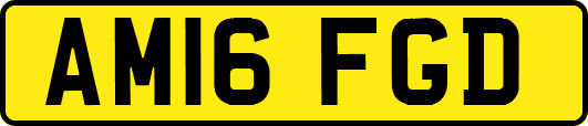 AM16FGD