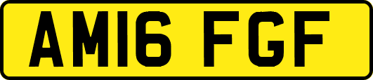 AM16FGF