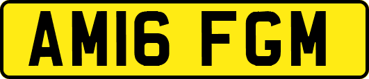 AM16FGM