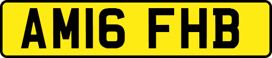 AM16FHB