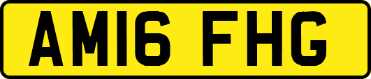 AM16FHG