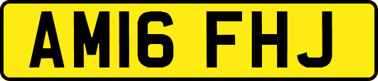 AM16FHJ