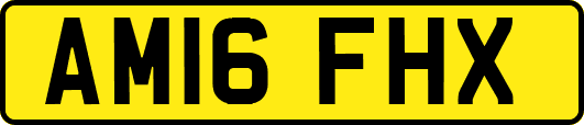 AM16FHX