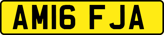 AM16FJA