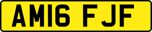 AM16FJF