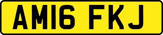 AM16FKJ