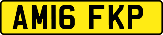 AM16FKP