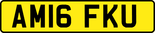 AM16FKU