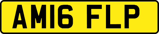 AM16FLP