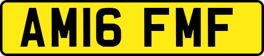 AM16FMF