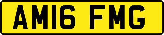 AM16FMG