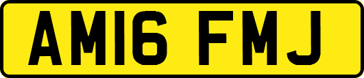AM16FMJ