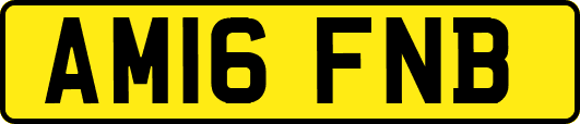 AM16FNB