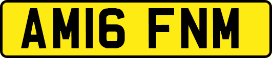 AM16FNM