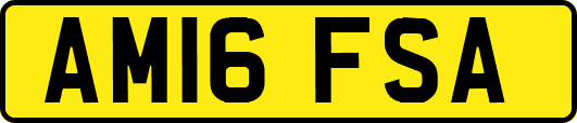 AM16FSA