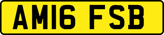 AM16FSB