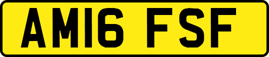 AM16FSF