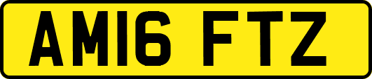 AM16FTZ